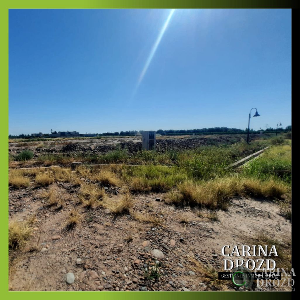 Terreno en Venta en Maipu, Mendoza