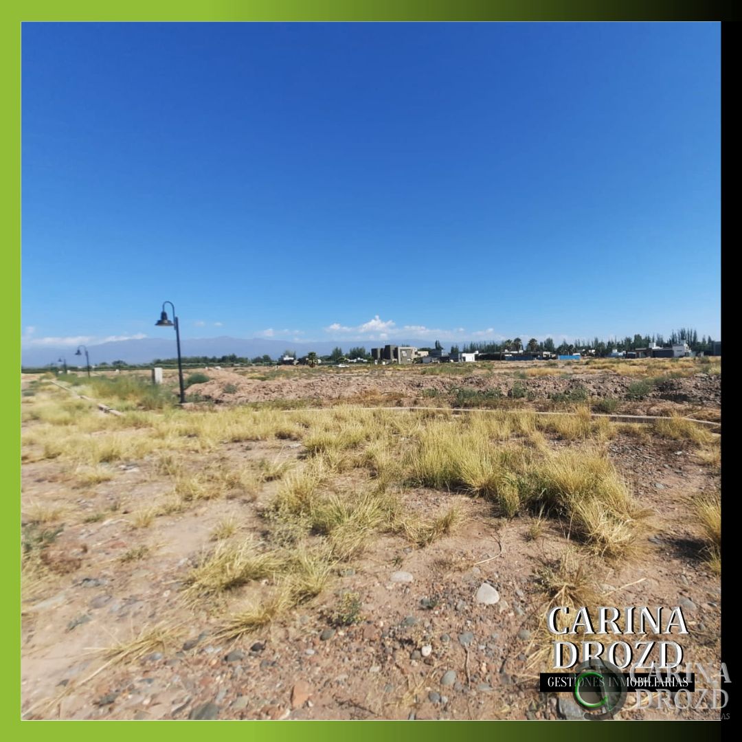 Terreno en Venta en Maipu, Mendoza