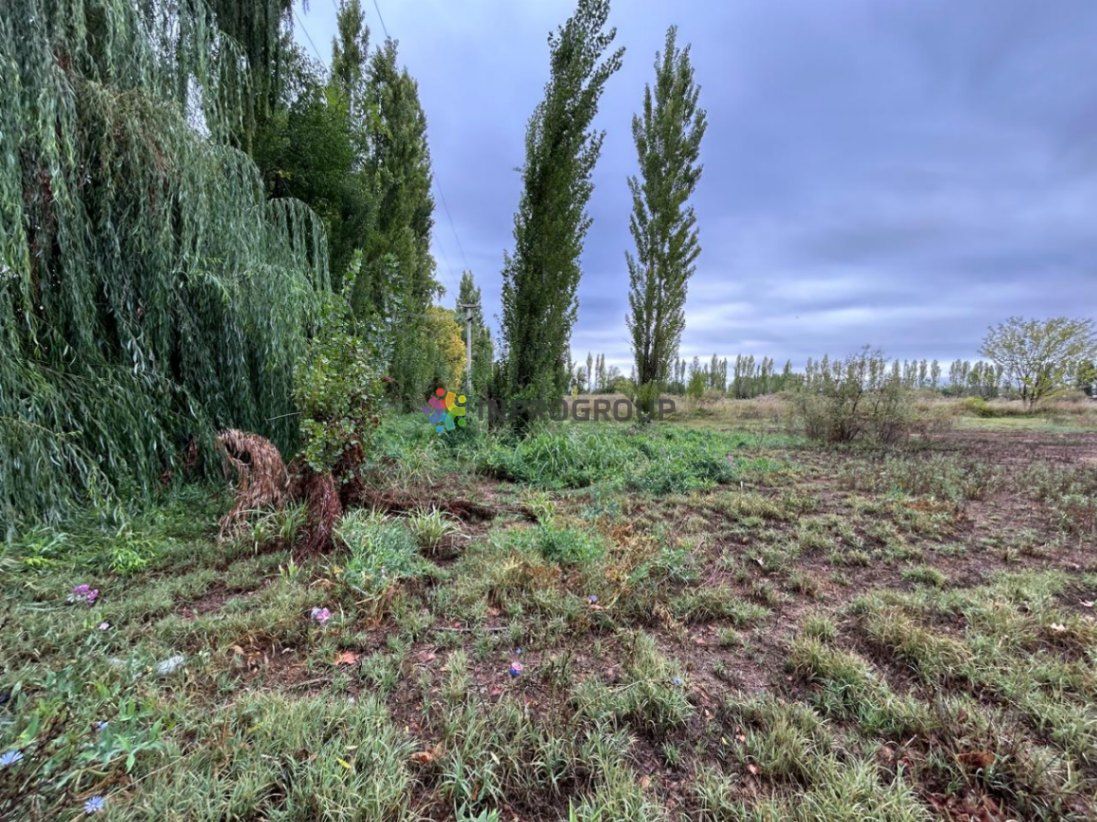 Terreno en Venta en Lujan de Cuyo, Mendoza