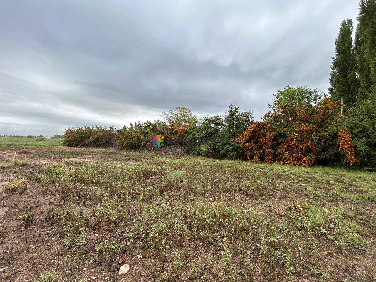 Terreno en Venta en Lujan de Cuyo, Mendoza