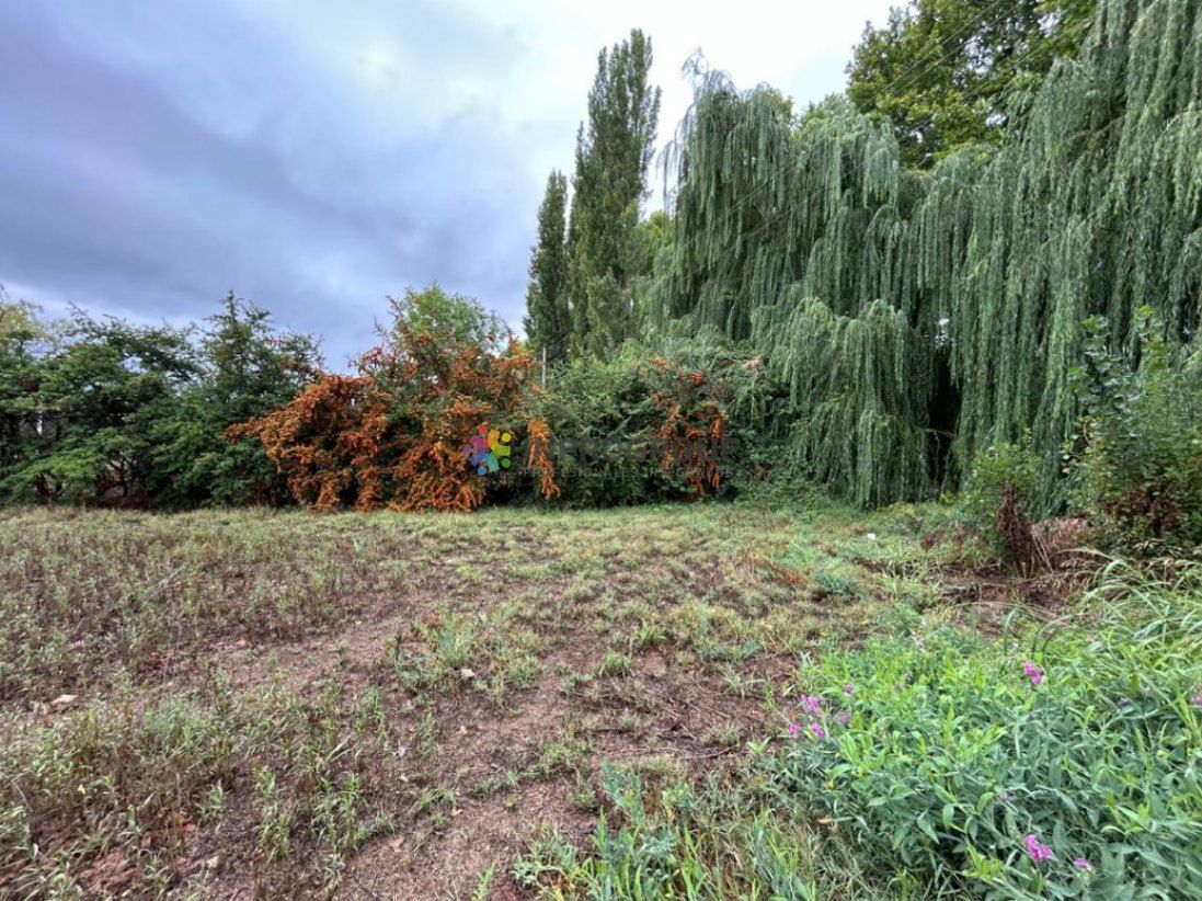 Terreno en Venta en Lujan de Cuyo, Mendoza
