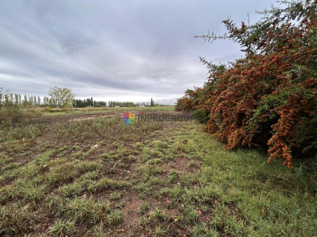 Terreno en Venta en Lujan de Cuyo, Mendoza