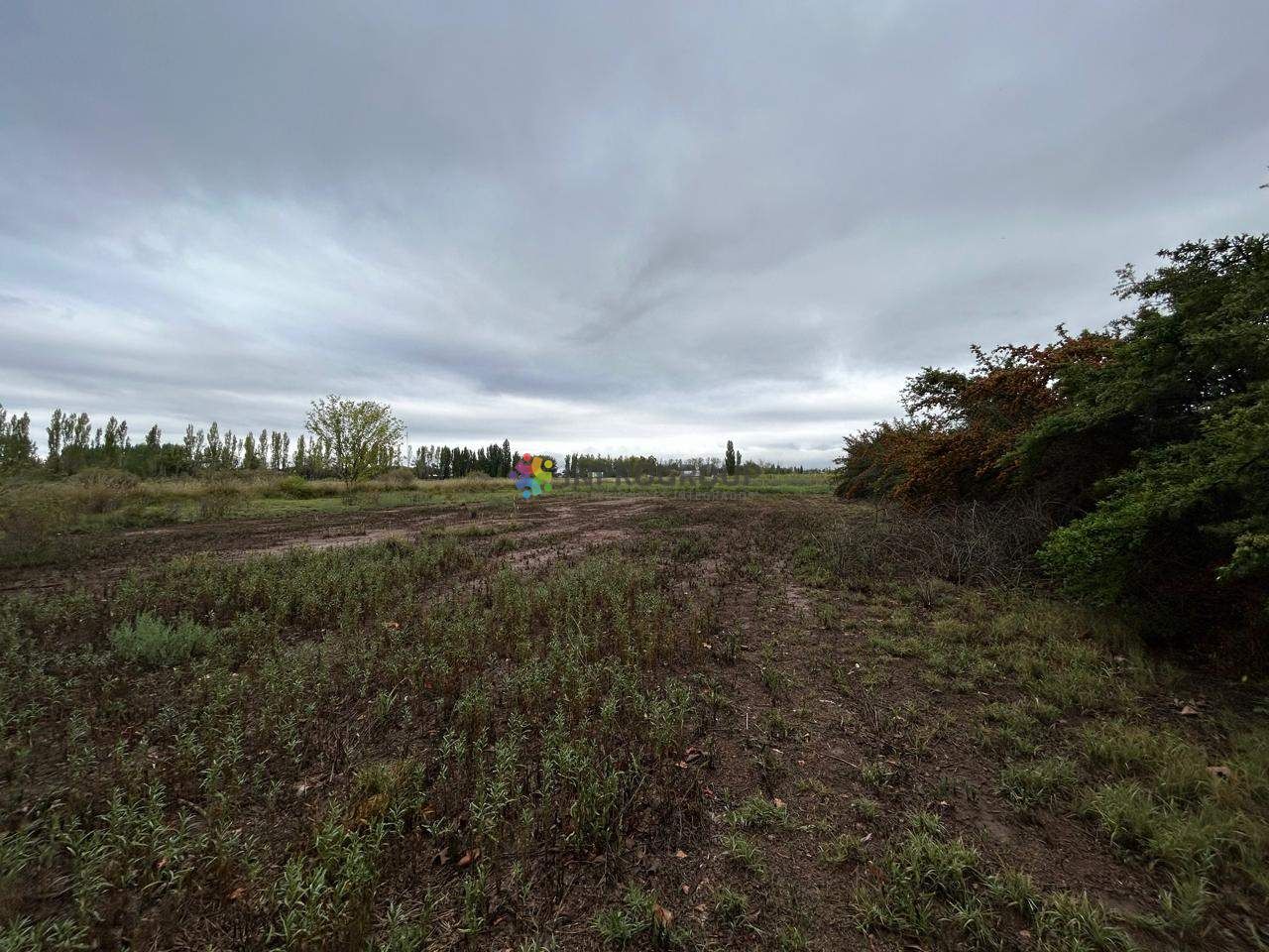 Terreno en Venta en Lujan de Cuyo, Mendoza