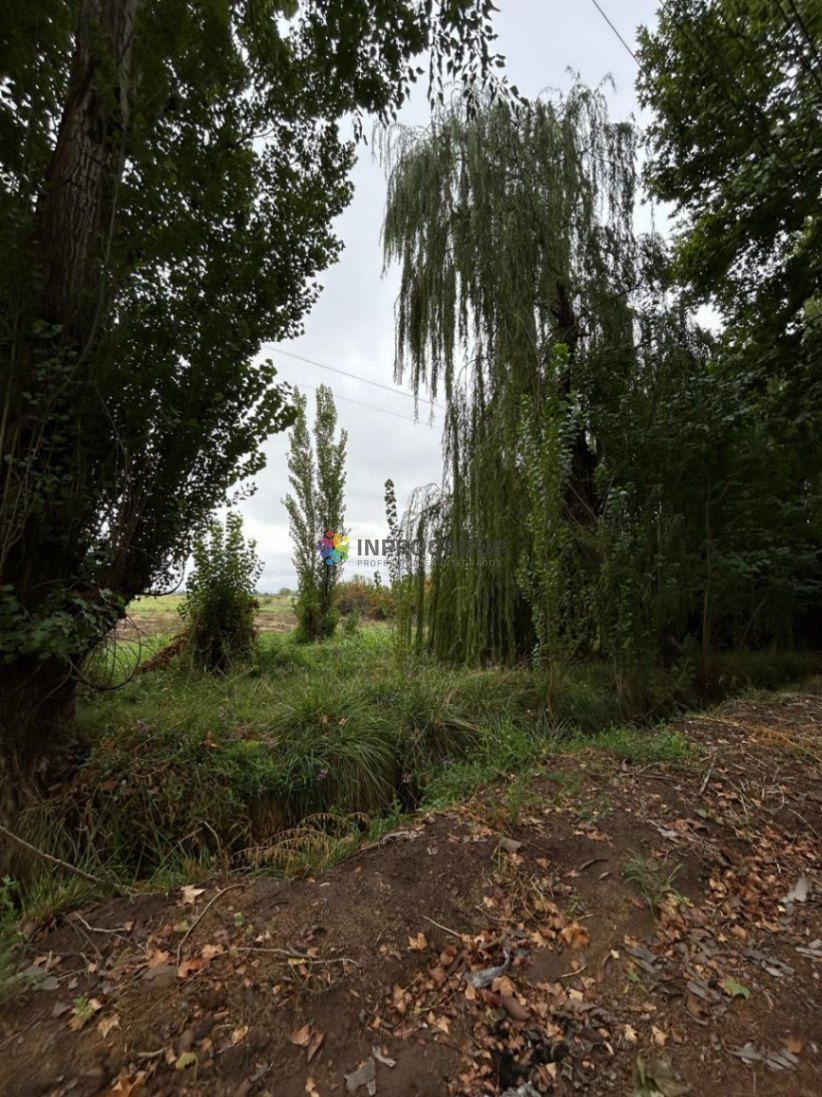 Terreno en Venta en Lujan de Cuyo, Mendoza
