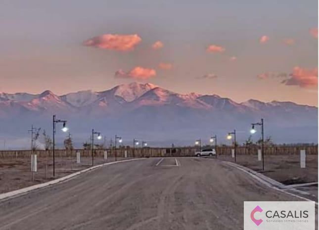 Terreno en Venta en Tupungato, Mendoza