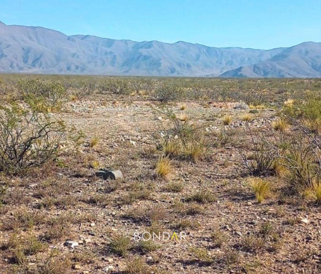Campo en Venta en Las Heras, Mendoza
