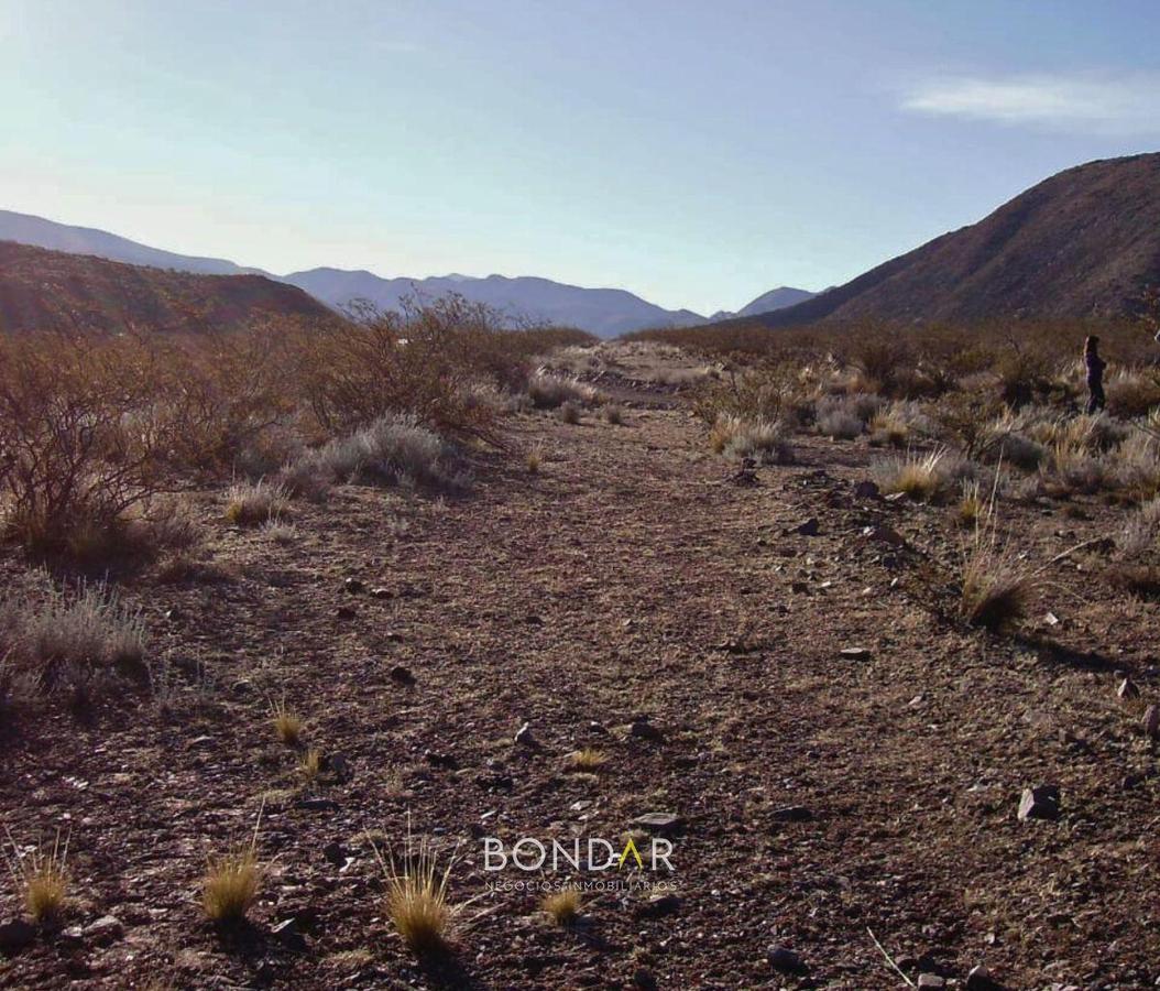 Campo en Venta en Las Heras, Mendoza