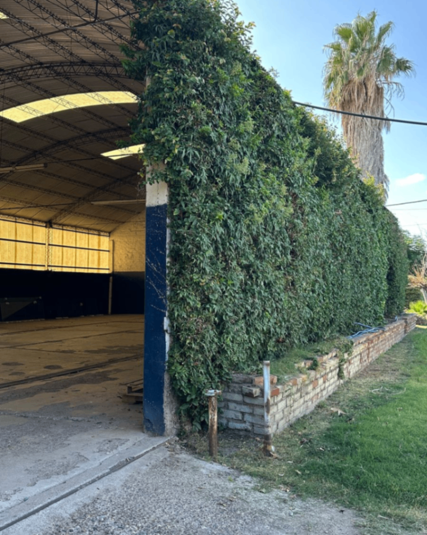 Galpon en Venta en Maipu, Mendoza