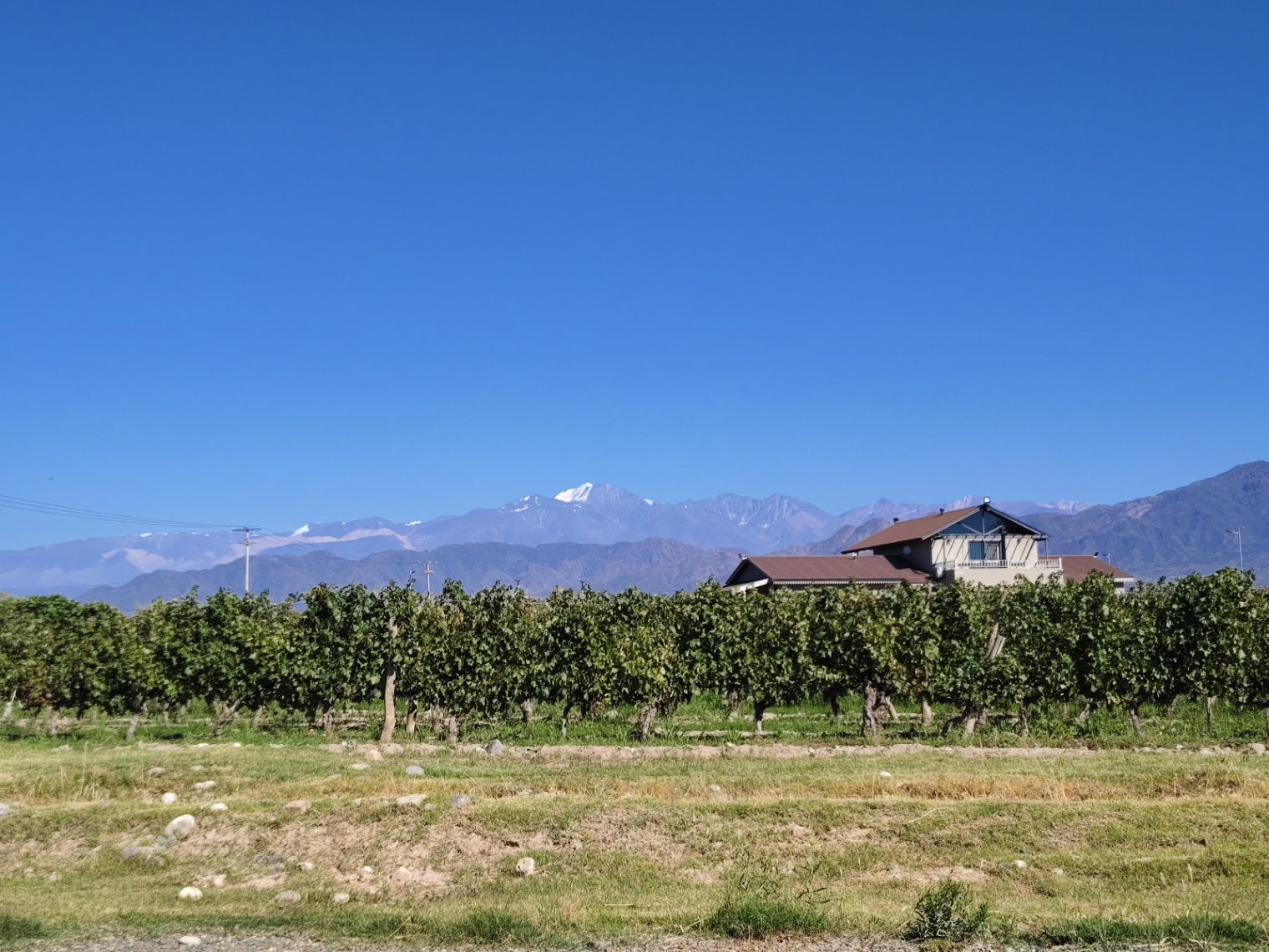 Terreno en Venta en Lujan de Cuyo, Mendoza