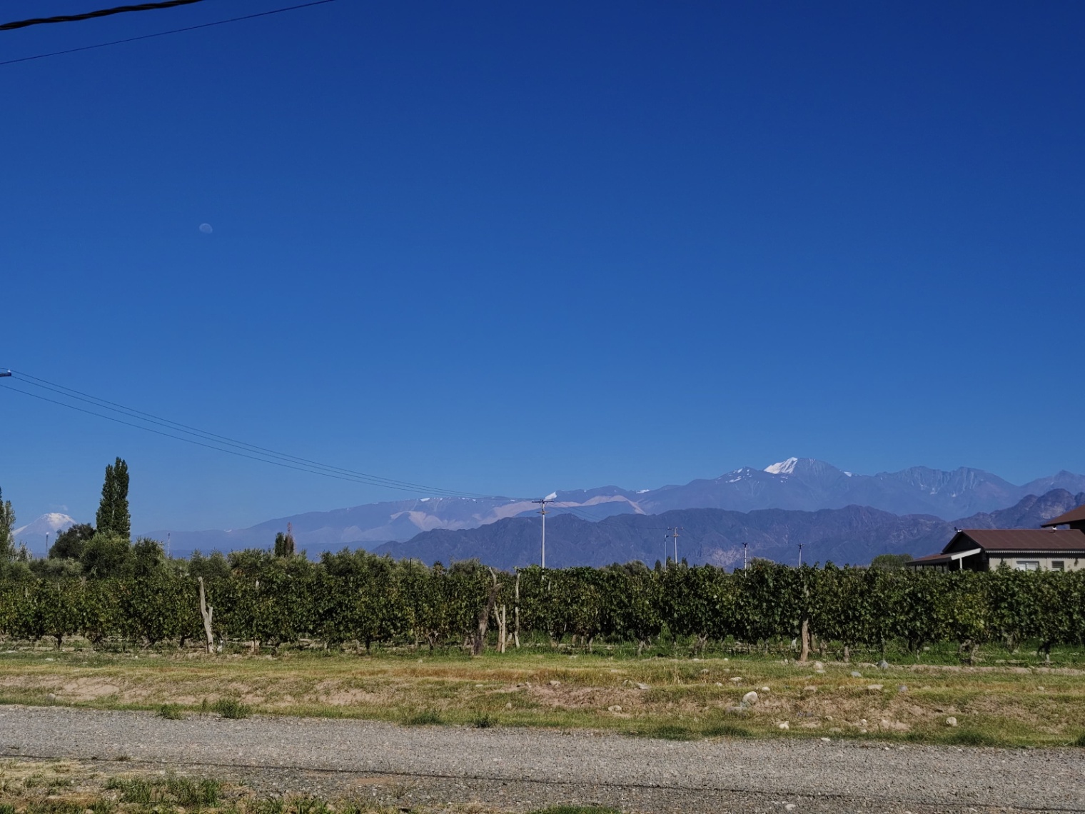 Terreno en Venta en Lujan de Cuyo, Mendoza