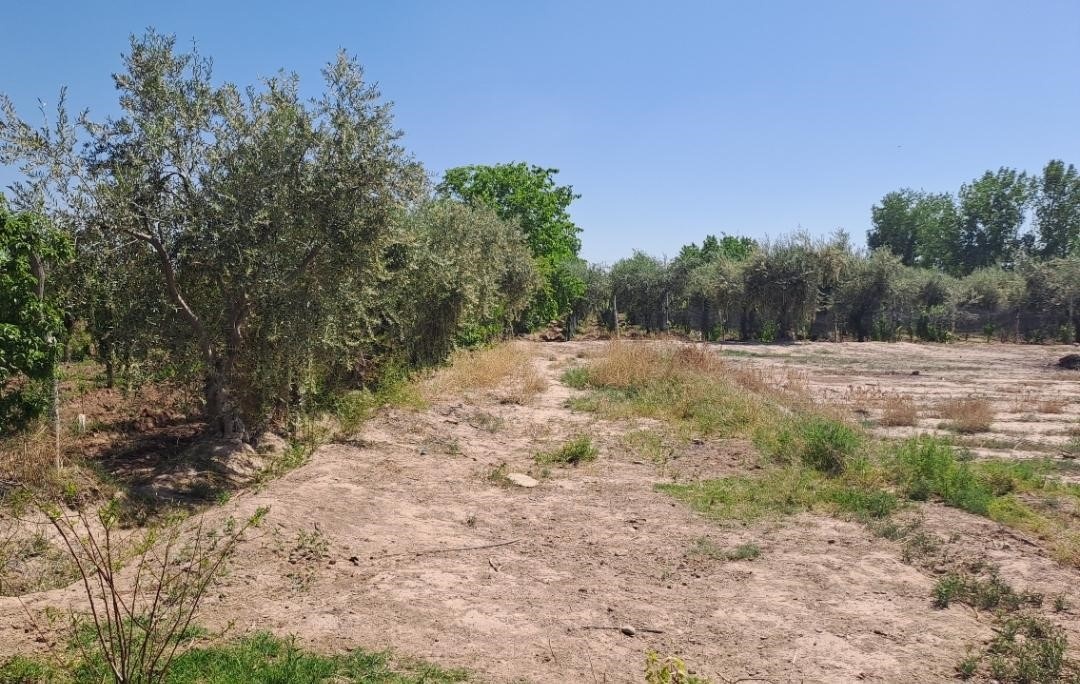 Terreno en Venta en Maipu, Mendoza
