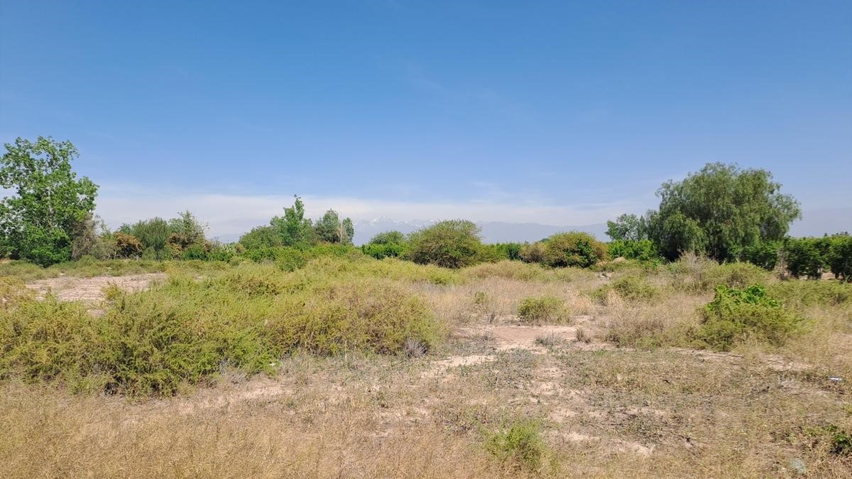 Terreno en Venta en Maipu, Mendoza