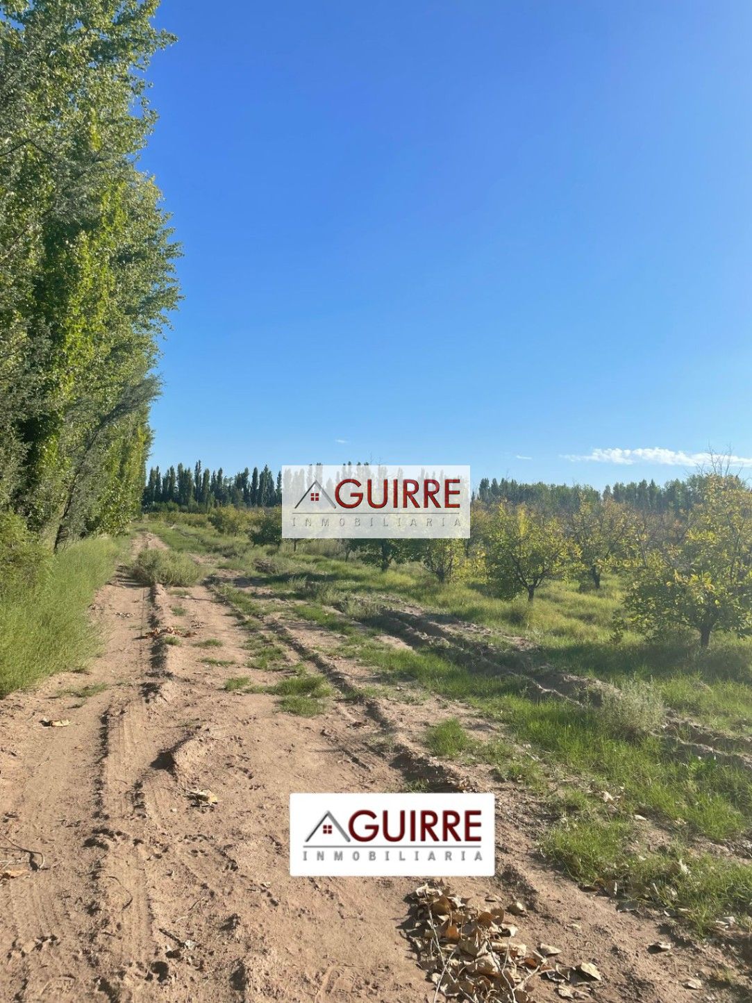 Finca en Venta en San Rafael, Mendoza