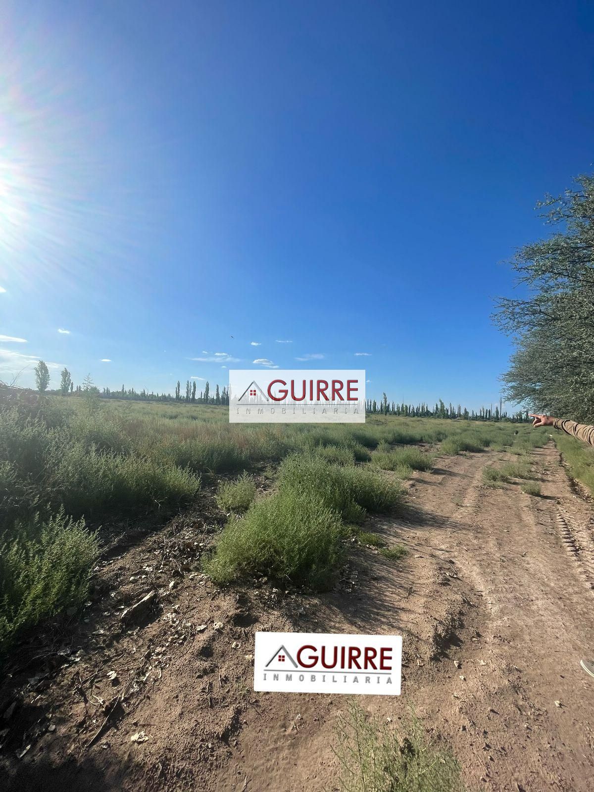 Finca en Venta en San Rafael, Mendoza