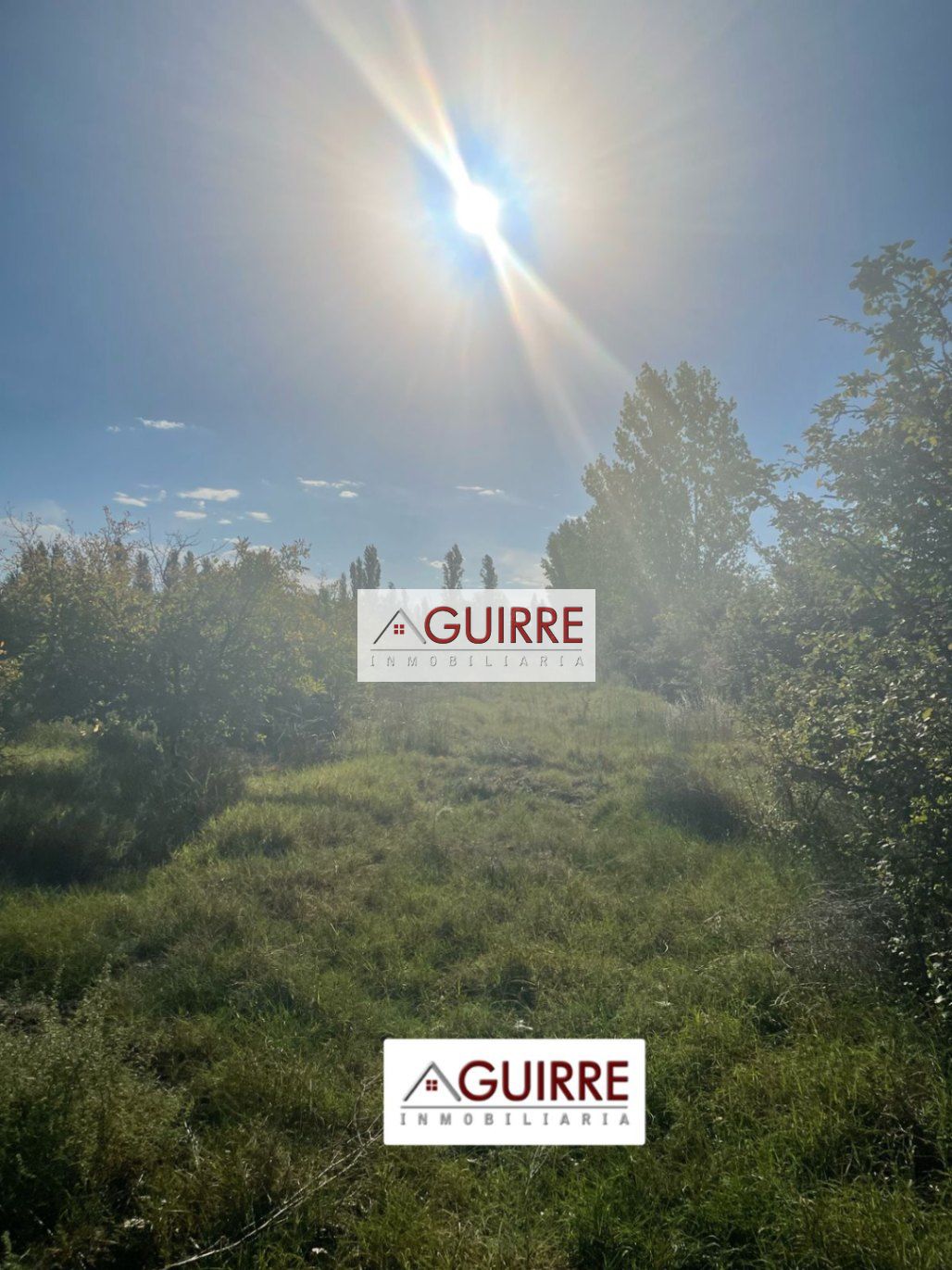Finca en Venta en San Rafael, Mendoza