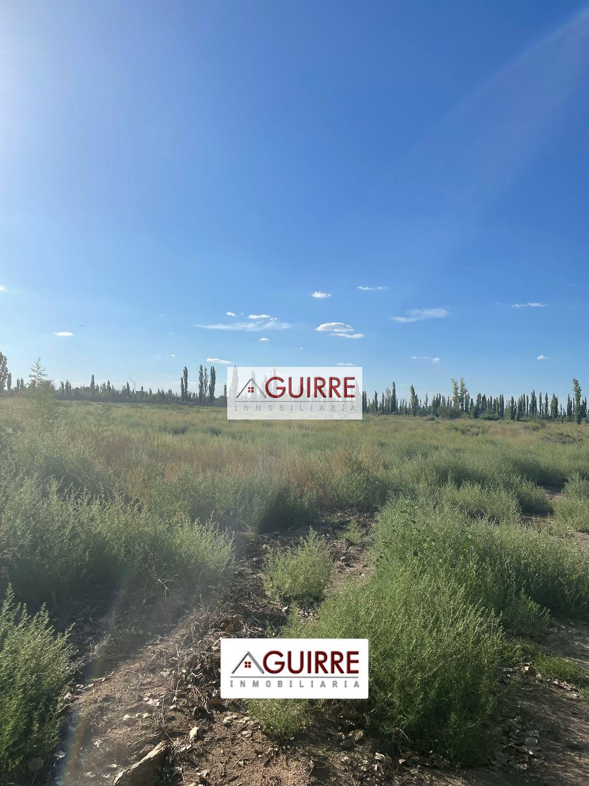 Finca en Venta en San Rafael, Mendoza