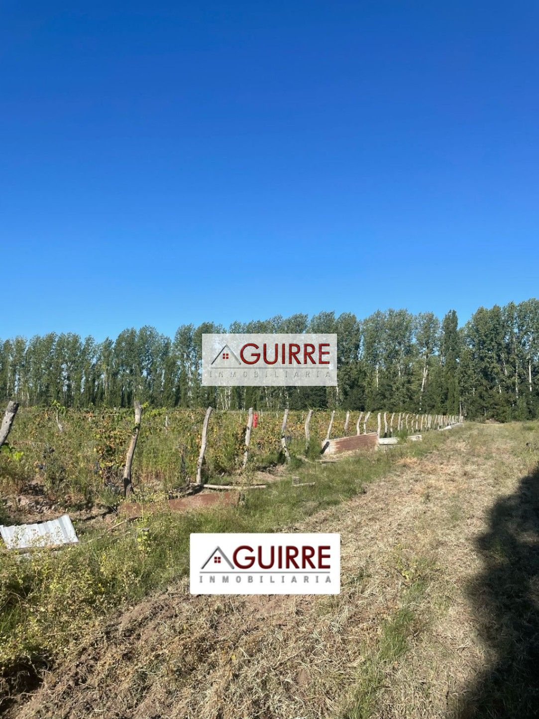 Finca en Venta en San Rafael, Mendoza