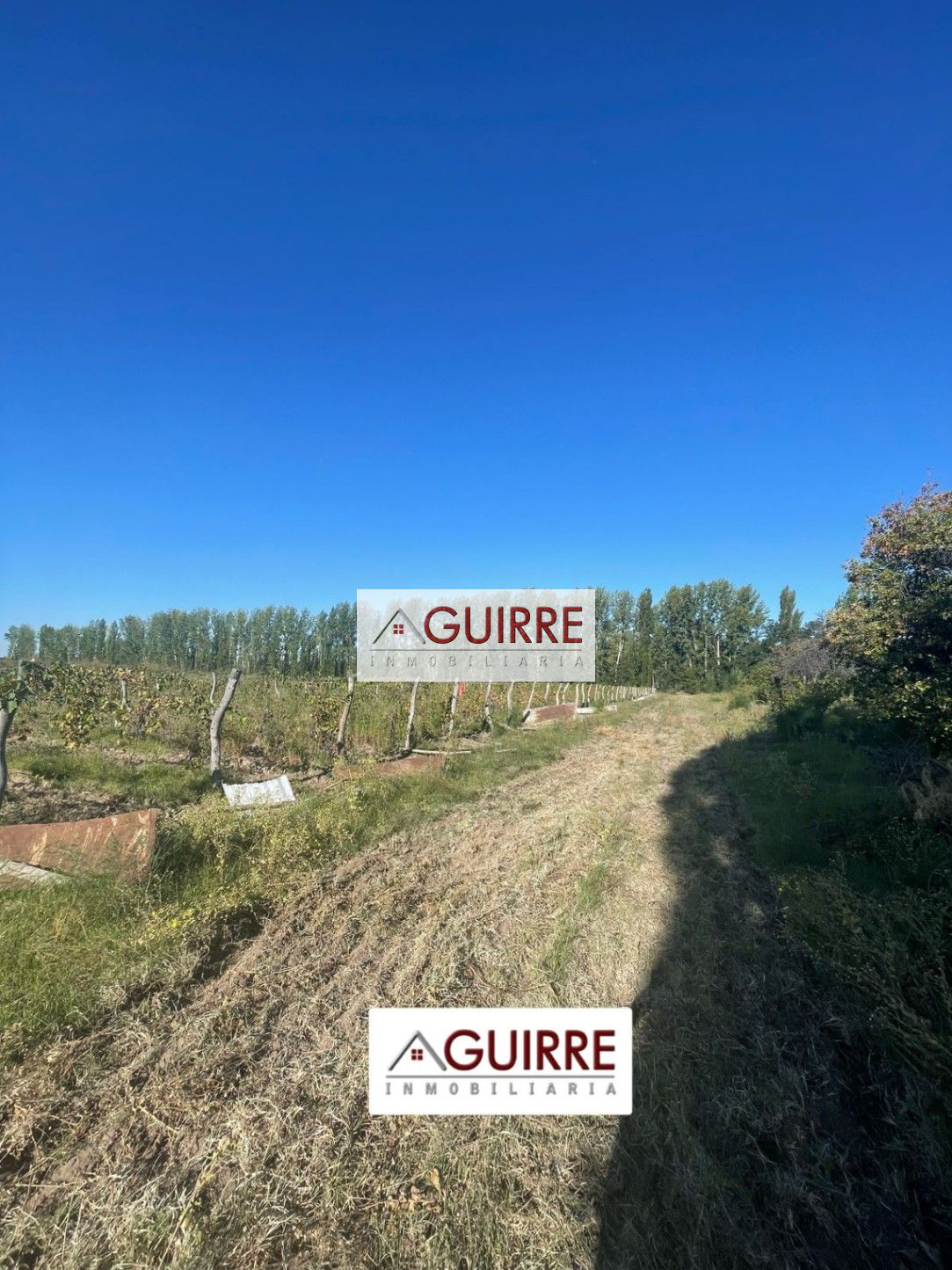 Finca en Venta en San Rafael, Mendoza