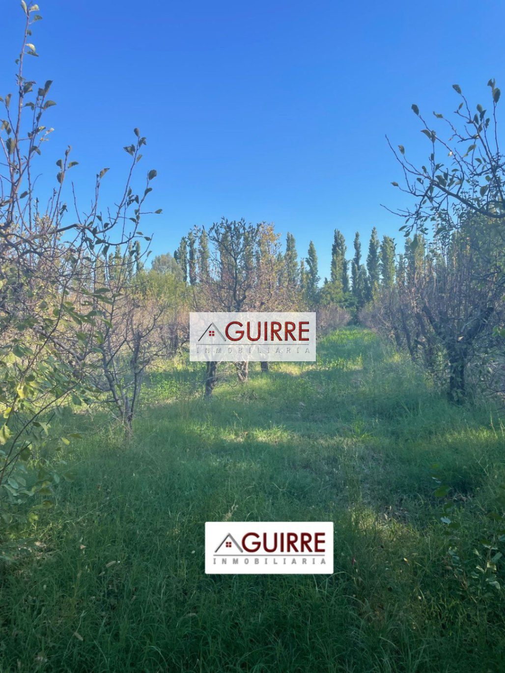 Finca en Venta en San Rafael, Mendoza