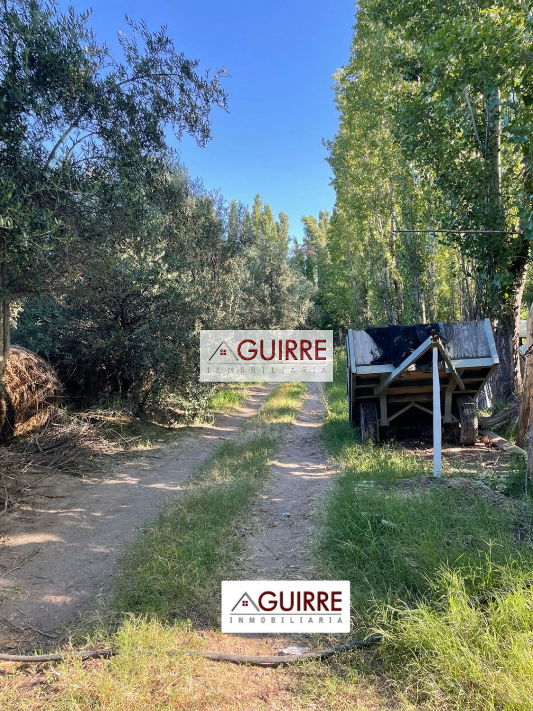 Finca en Venta en San Rafael, Mendoza