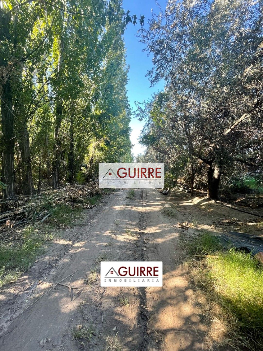 Finca en Venta en San Rafael, Mendoza