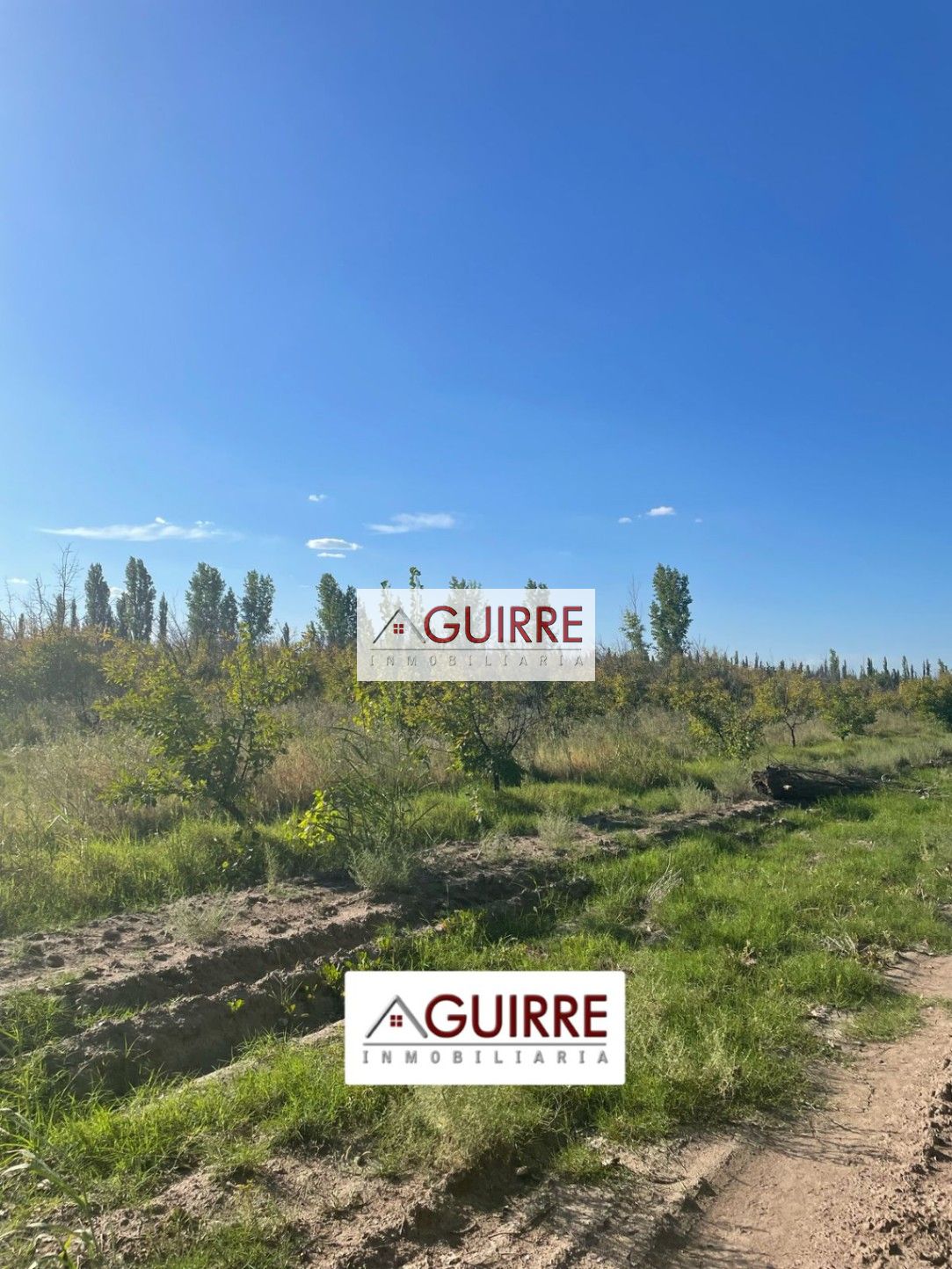 Finca en Venta en San Rafael, Mendoza