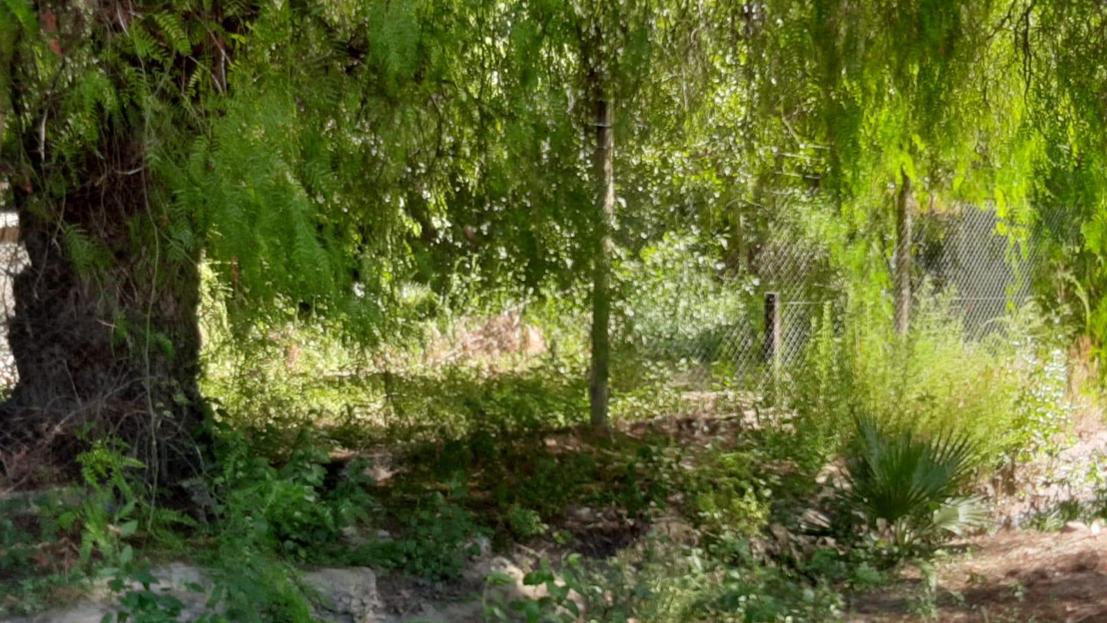 Terreno en Venta en Maipu, Mendoza