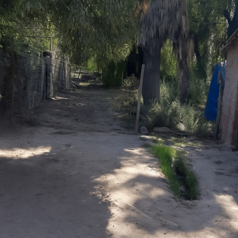 Terreno en Venta en Maipu, Mendoza