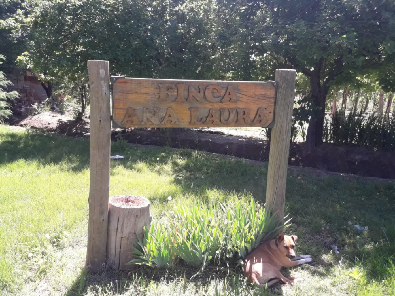 Finca en Venta en Lujan de Cuyo, Mendoza