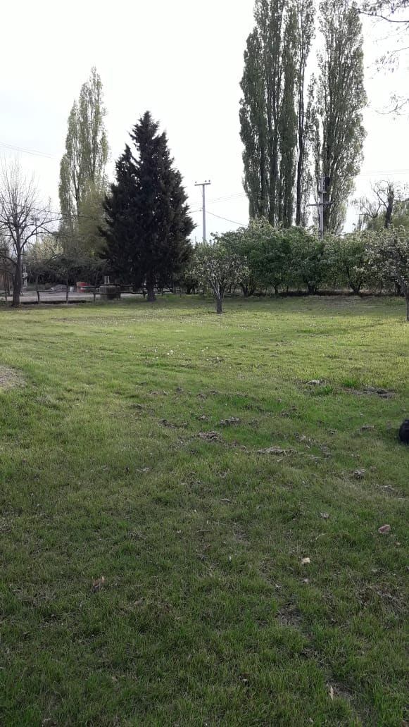 Finca en Venta en Lujan de Cuyo, Mendoza