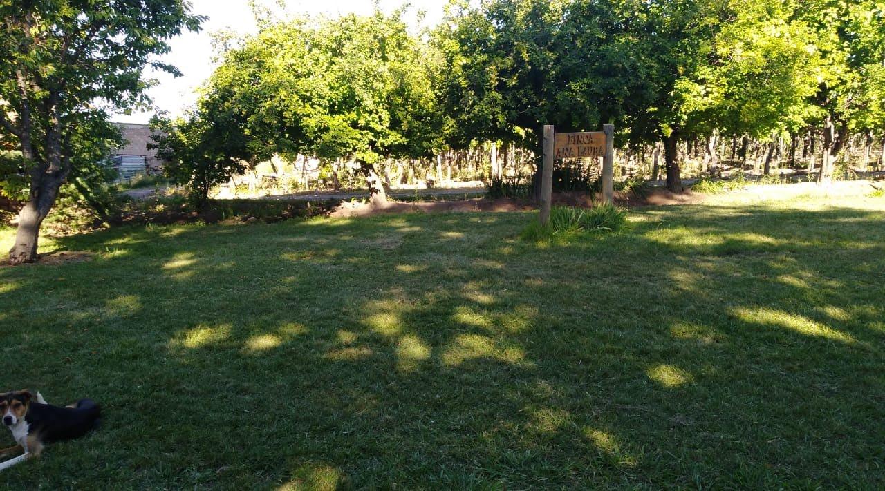 Finca en Venta en Lujan de Cuyo, Mendoza