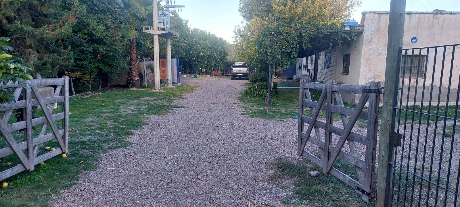 Finca en Venta en Lujan de Cuyo, Mendoza