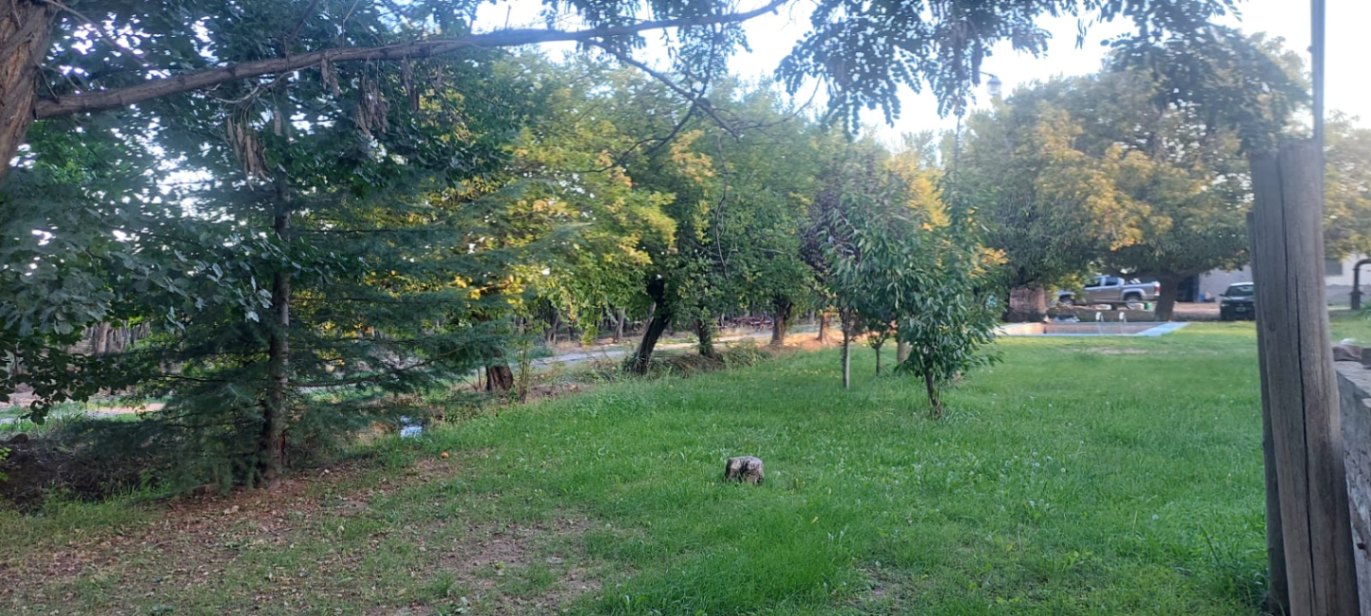 Finca en Venta en Lujan de Cuyo, Mendoza
