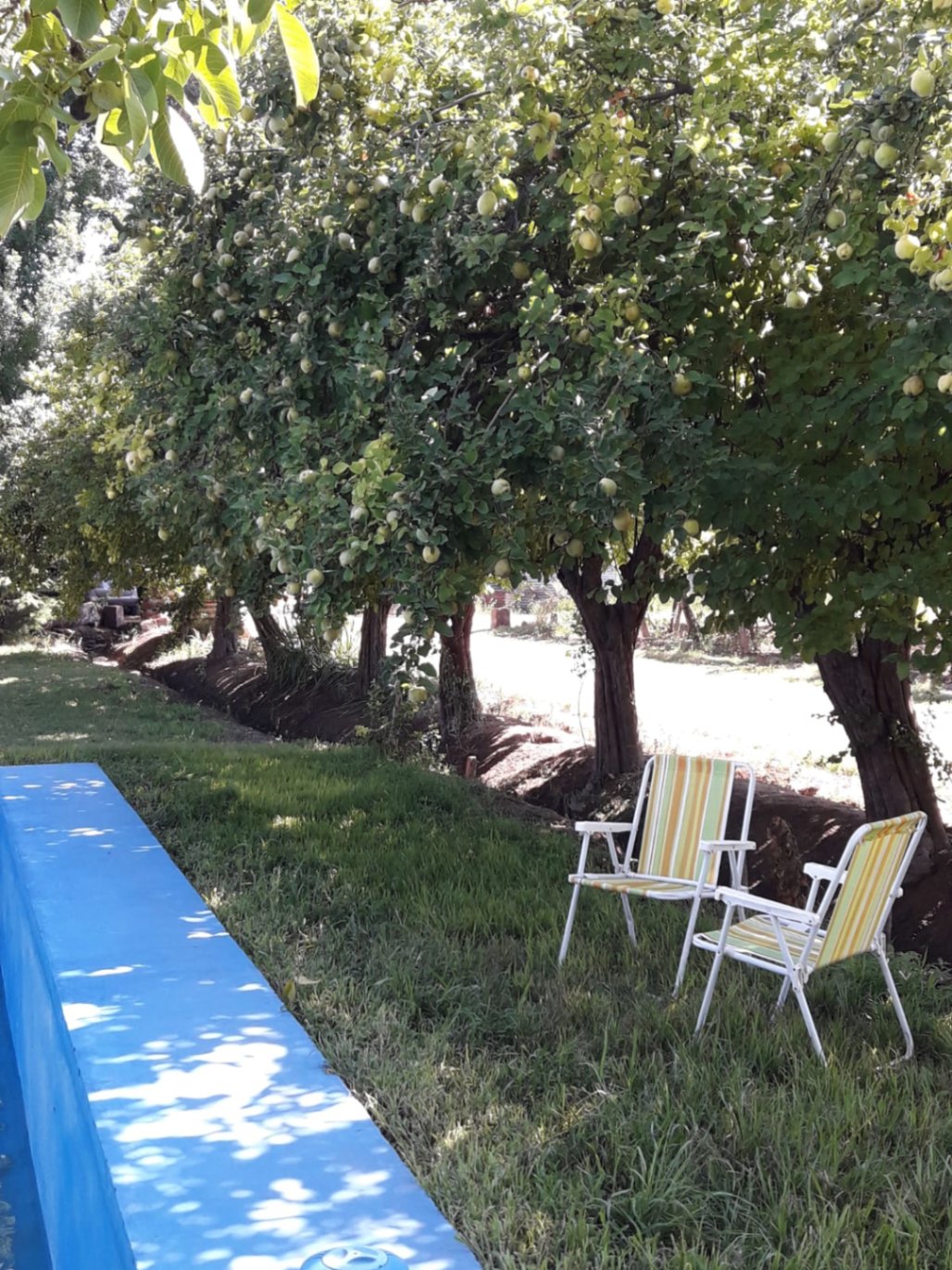 Finca en Venta en Lujan de Cuyo, Mendoza