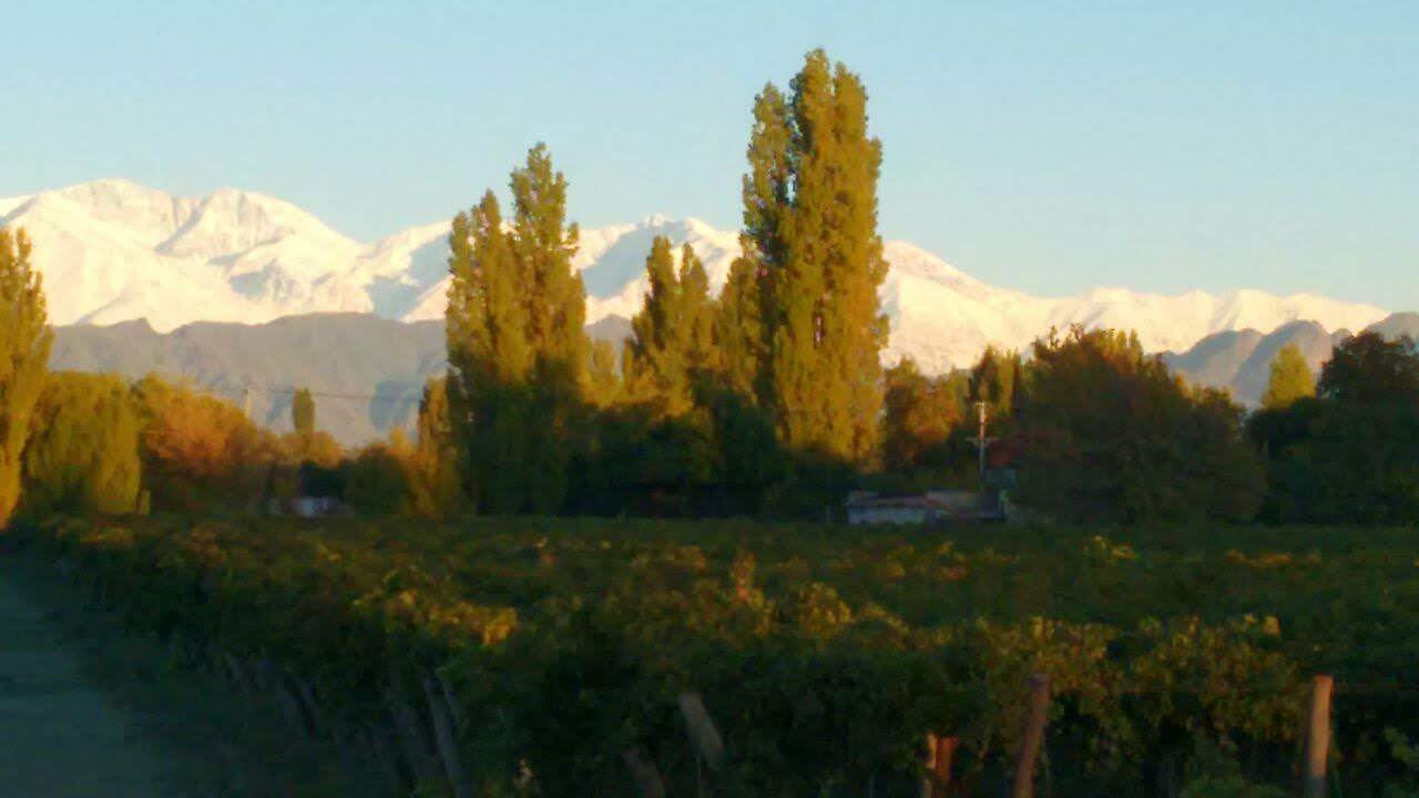 Finca en Venta en Lujan de Cuyo, Mendoza