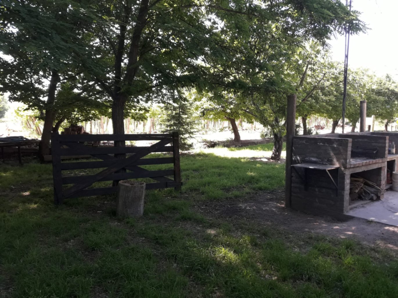 Finca en Venta en Lujan de Cuyo, Mendoza