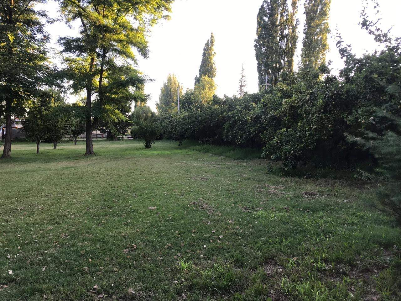 Finca en Venta en Lujan de Cuyo, Mendoza