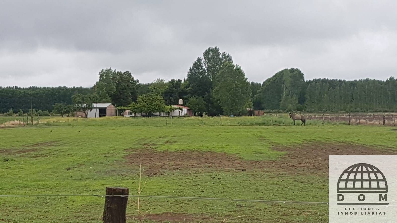 Finca en Venta en Tunuyan, Mendoza