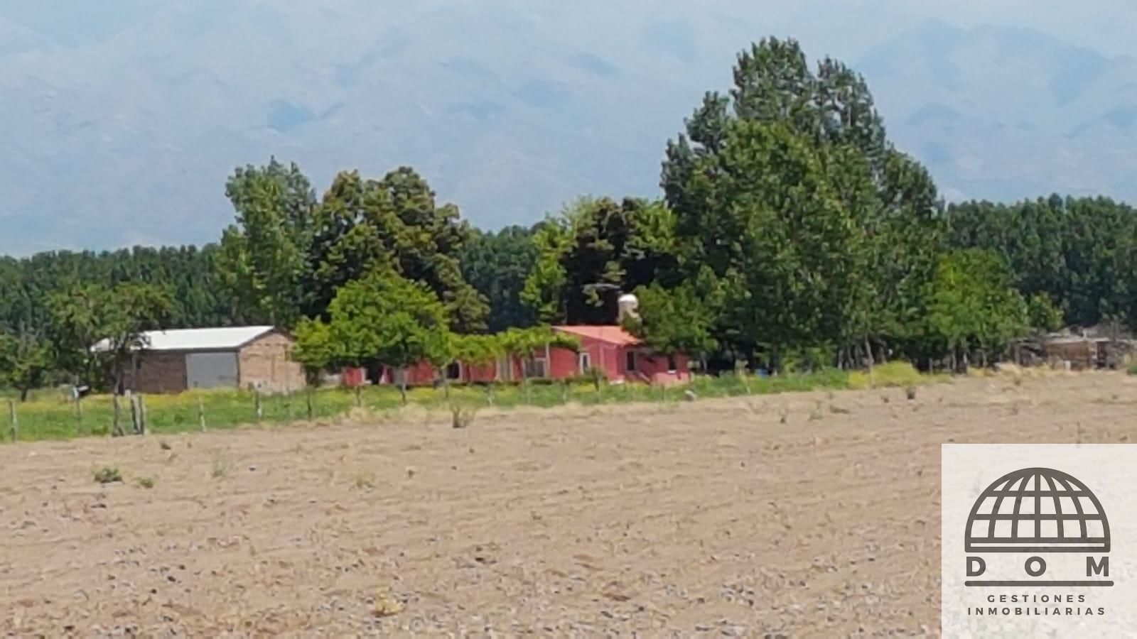 Finca en Venta en Tunuyan, Mendoza