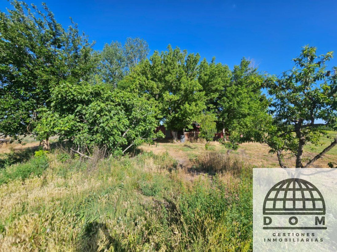 Finca en Venta en Tunuyan, Mendoza