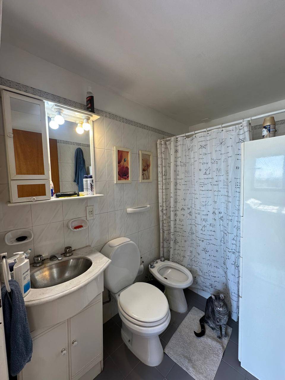 Departamento en Venta en Godoy Cruz, Mendoza