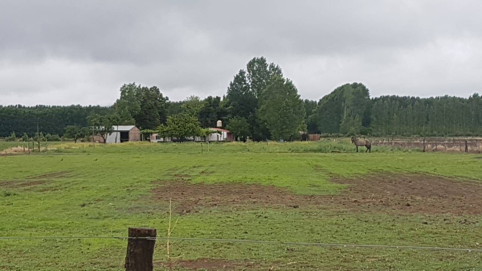 Finca en Venta en Tunuyan, Mendoza