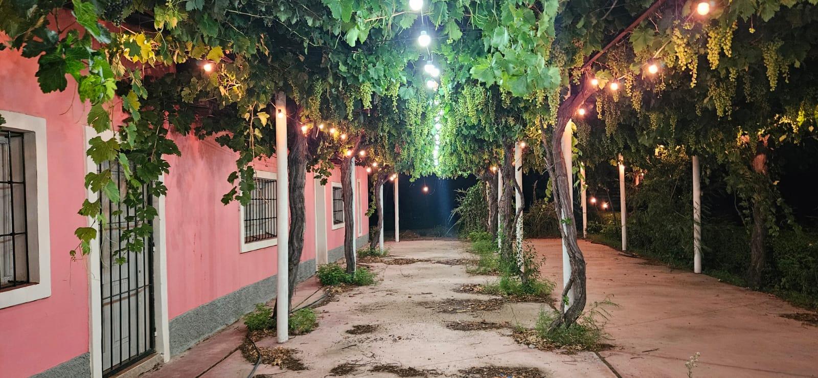 Finca en Venta en Tunuyan, Mendoza