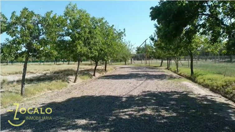Terreno en Venta en Lujan de Cuyo, Mendoza