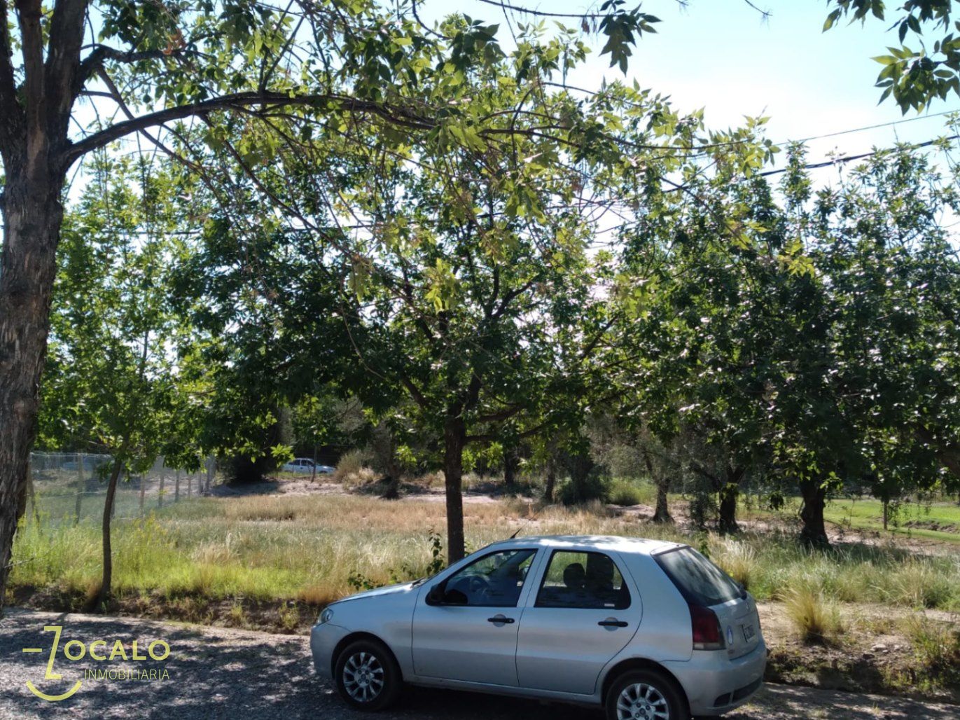 Terreno en Venta en Lujan de Cuyo, Mendoza