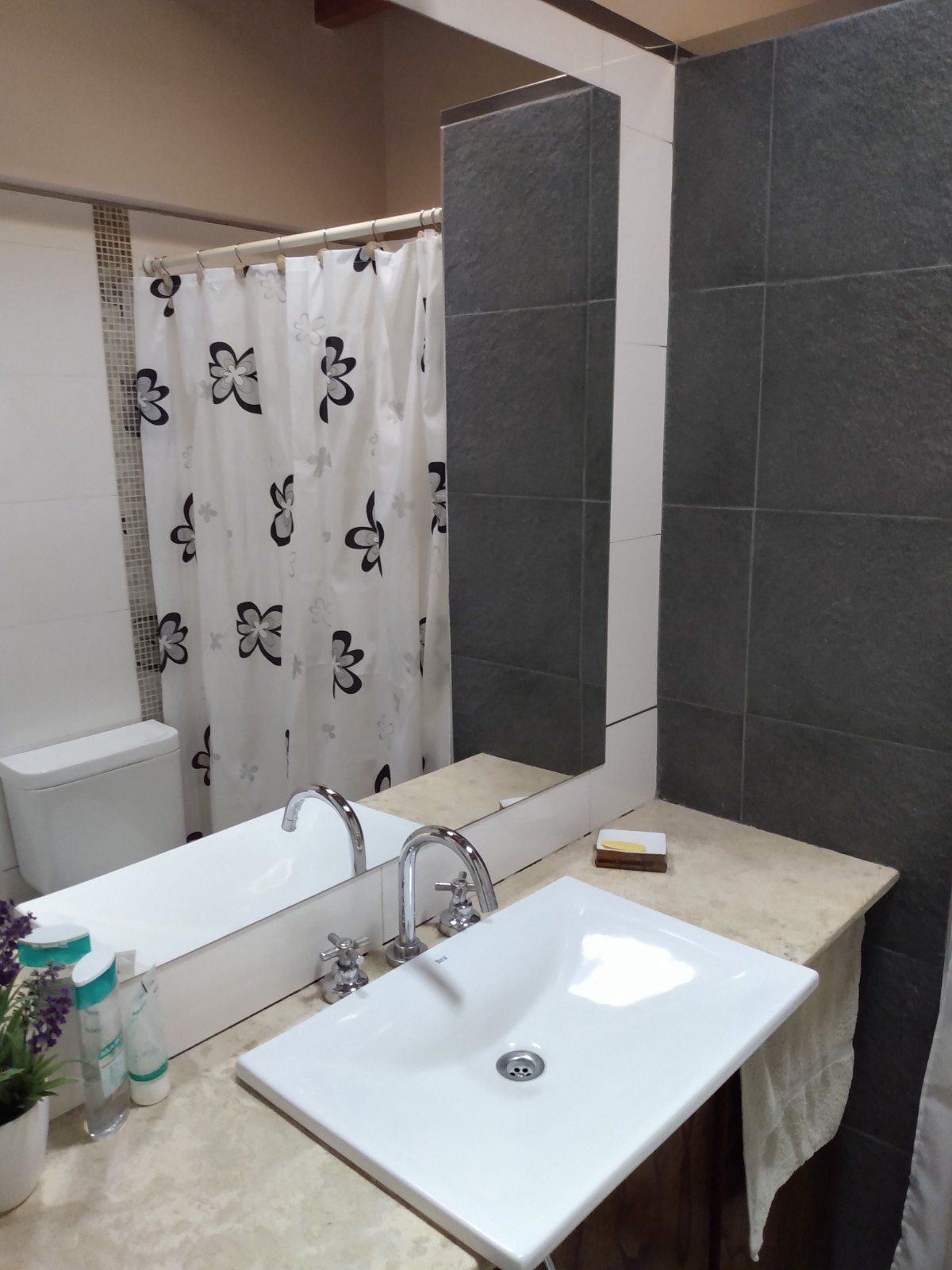 Departamento en Alquiler en Godoy Cruz, Mendoza