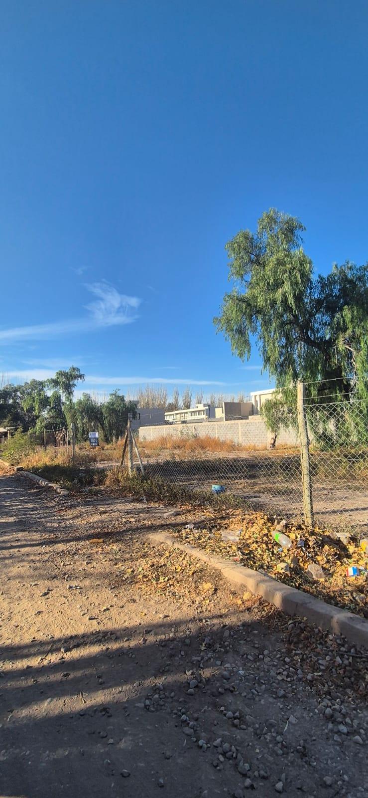 Terreno en Venta en Lujan de Cuyo, Mendoza