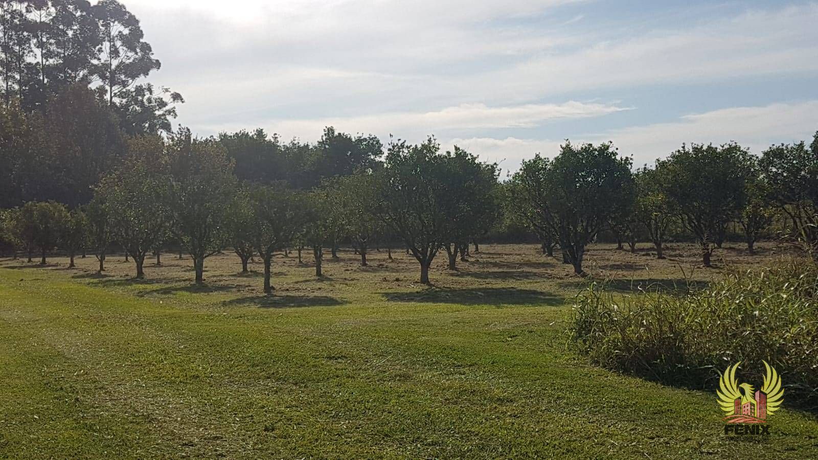Terreno en Venta en Tafi viejo, Tucuman