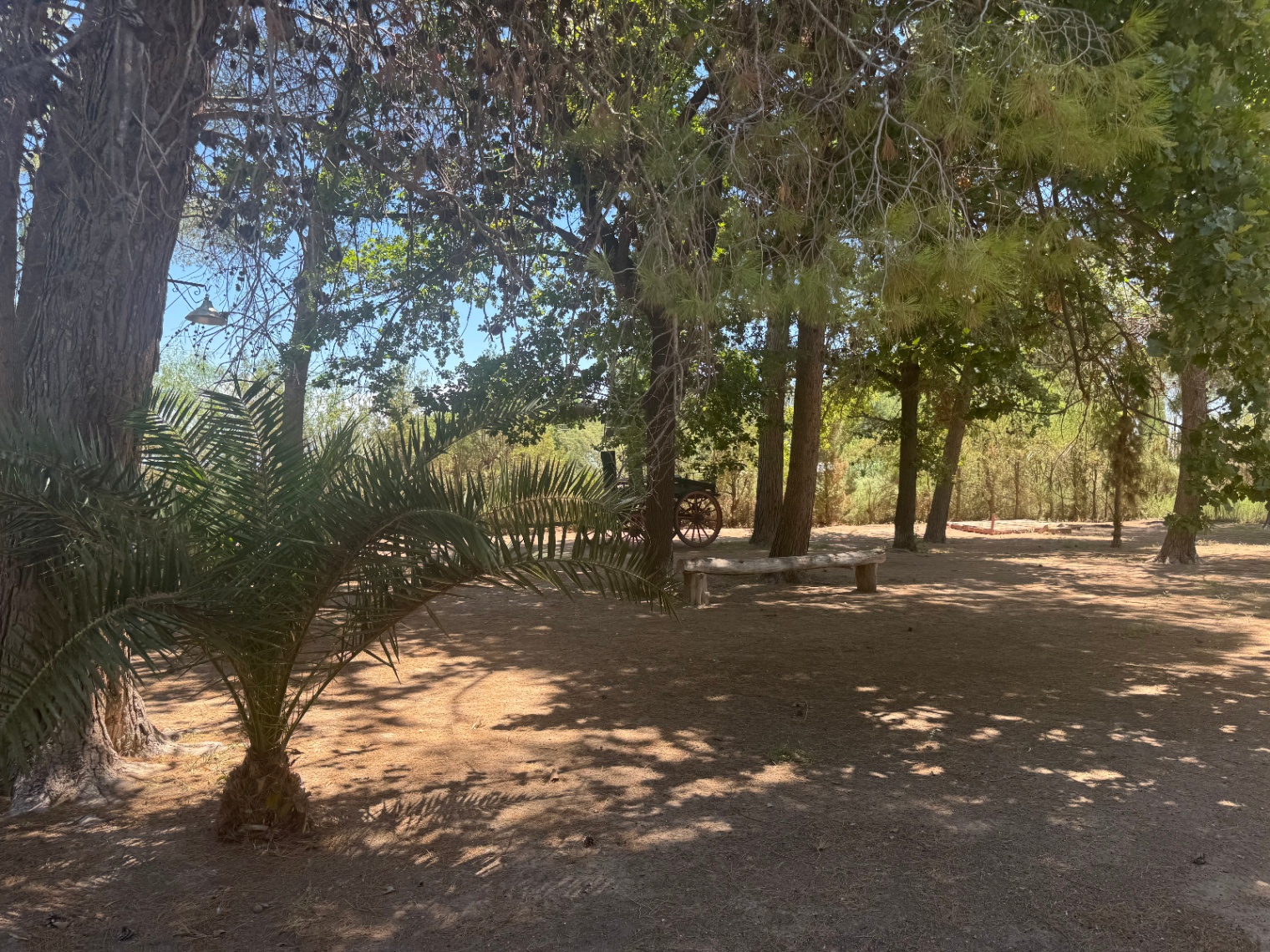 Local Comercial en Venta en Lavalle, Mendoza