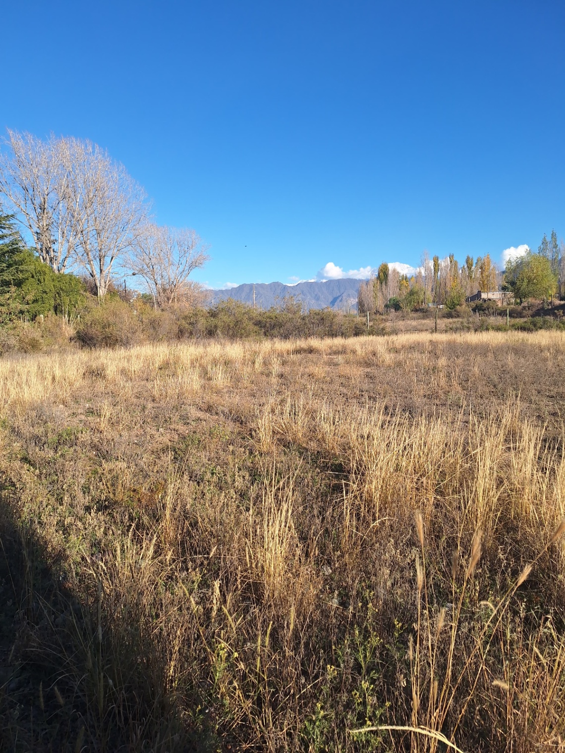Terreno en Venta en Lujan de Cuyo, Mendoza